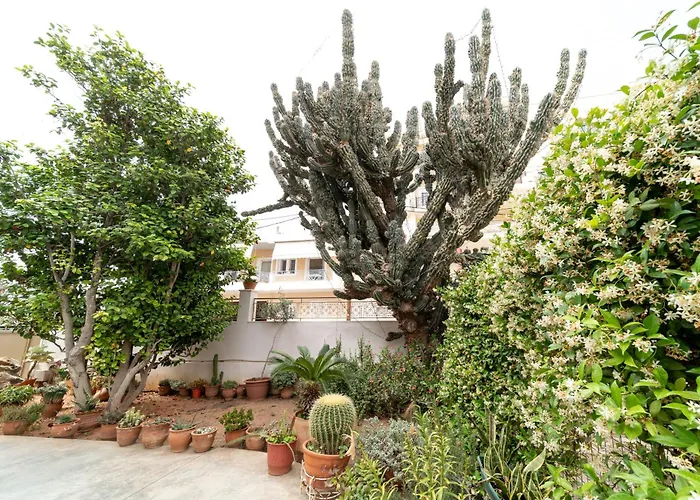 Cactus - Blooming Garden Apartments