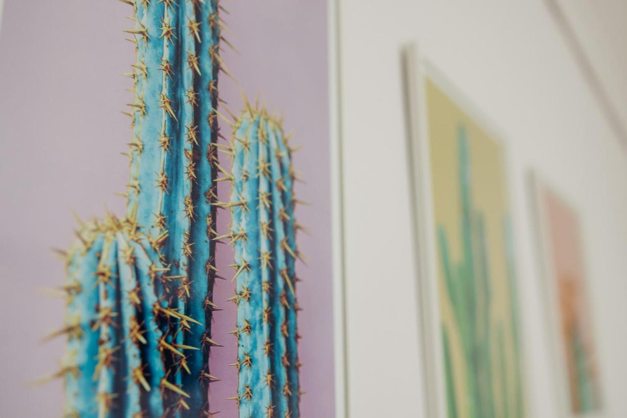 Apartment Cactus - Blooming Garden